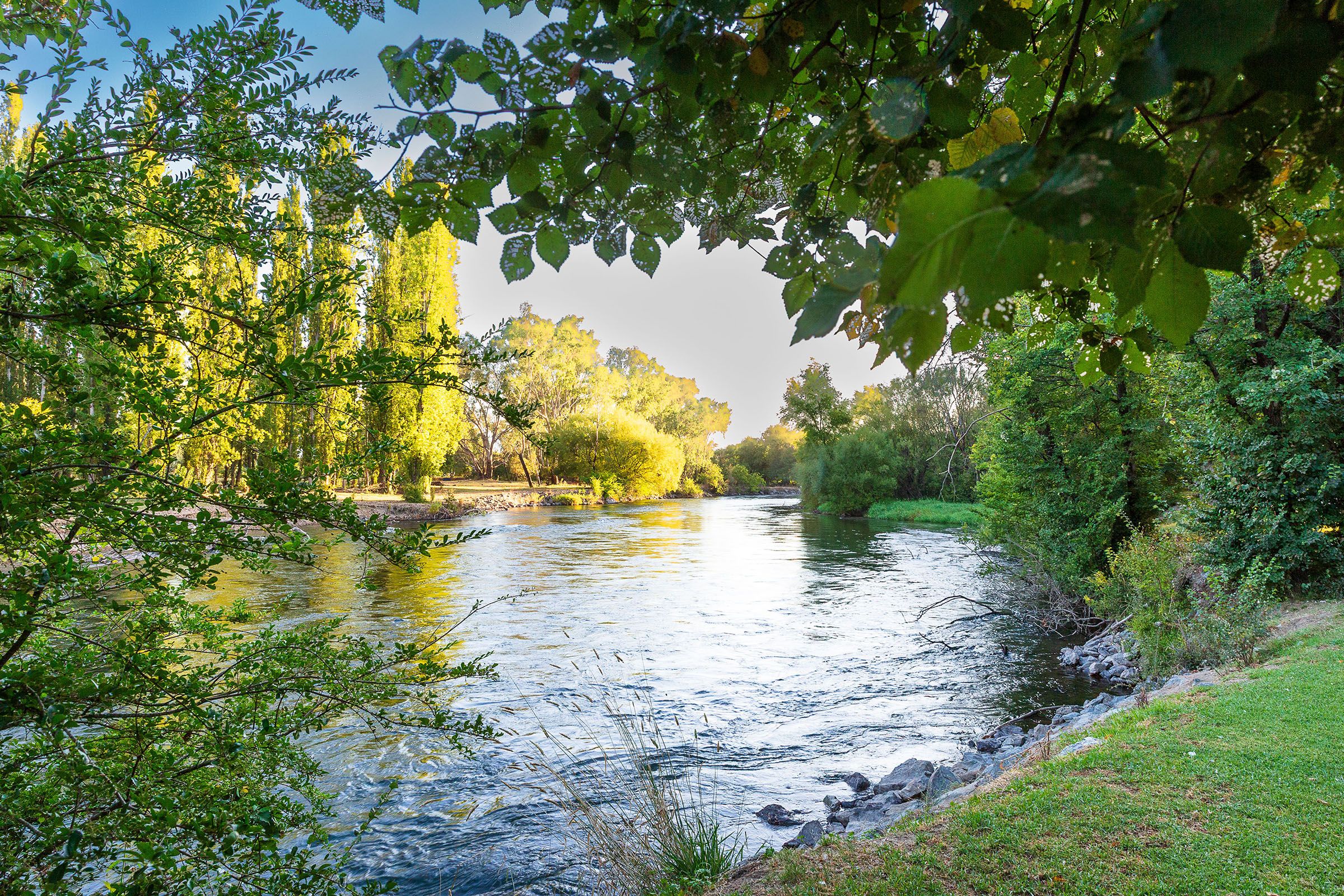 Reflections Tumut River