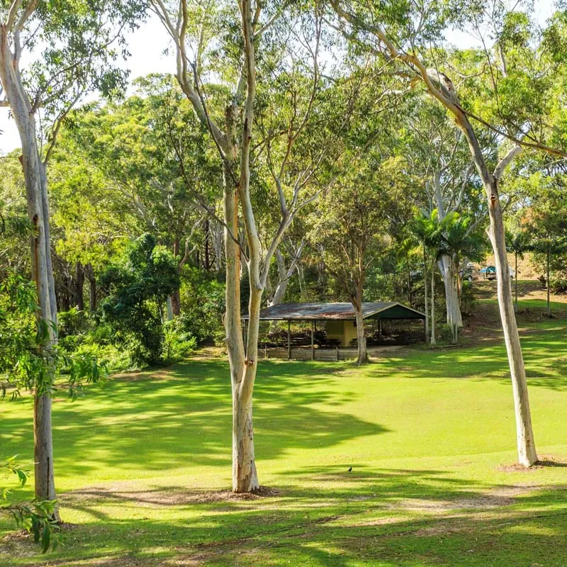 Nambucca Heads - Standard Powered Site - Grass