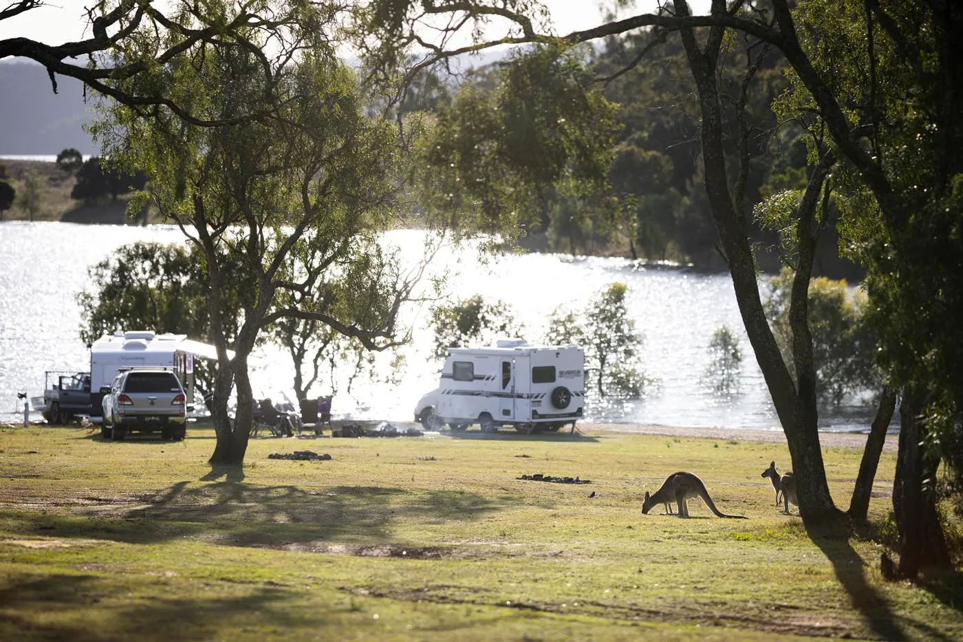 Lake Glenbawn - Standard Unpowered Site