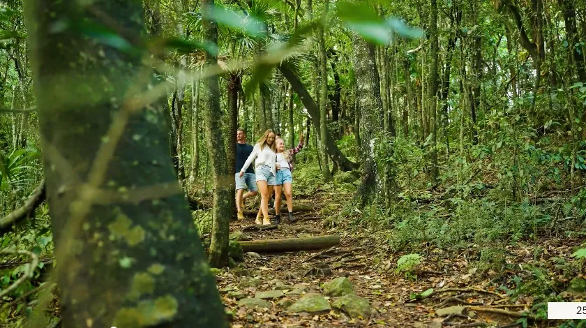 hiking near Jimmys Beach