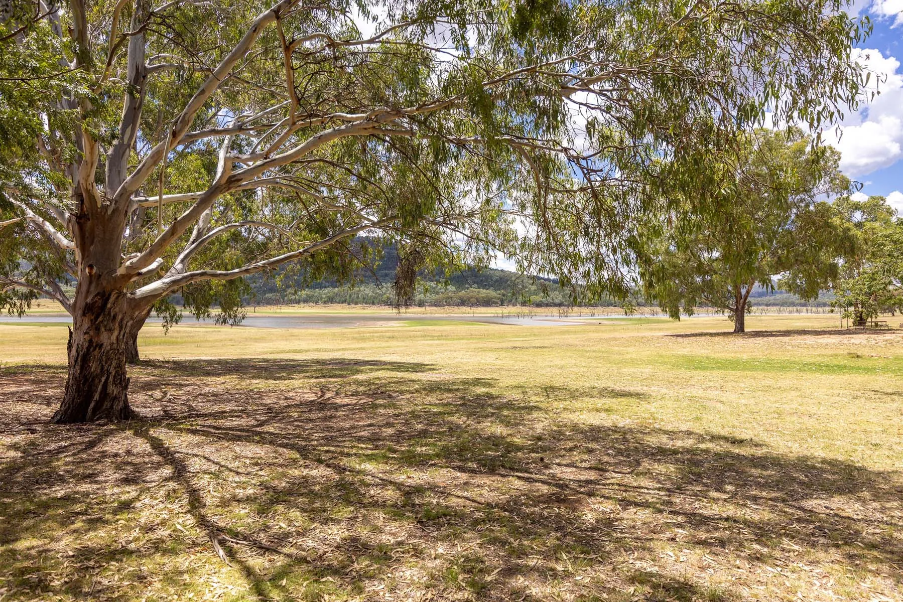 Cudgegong River - Unpowered Site 3