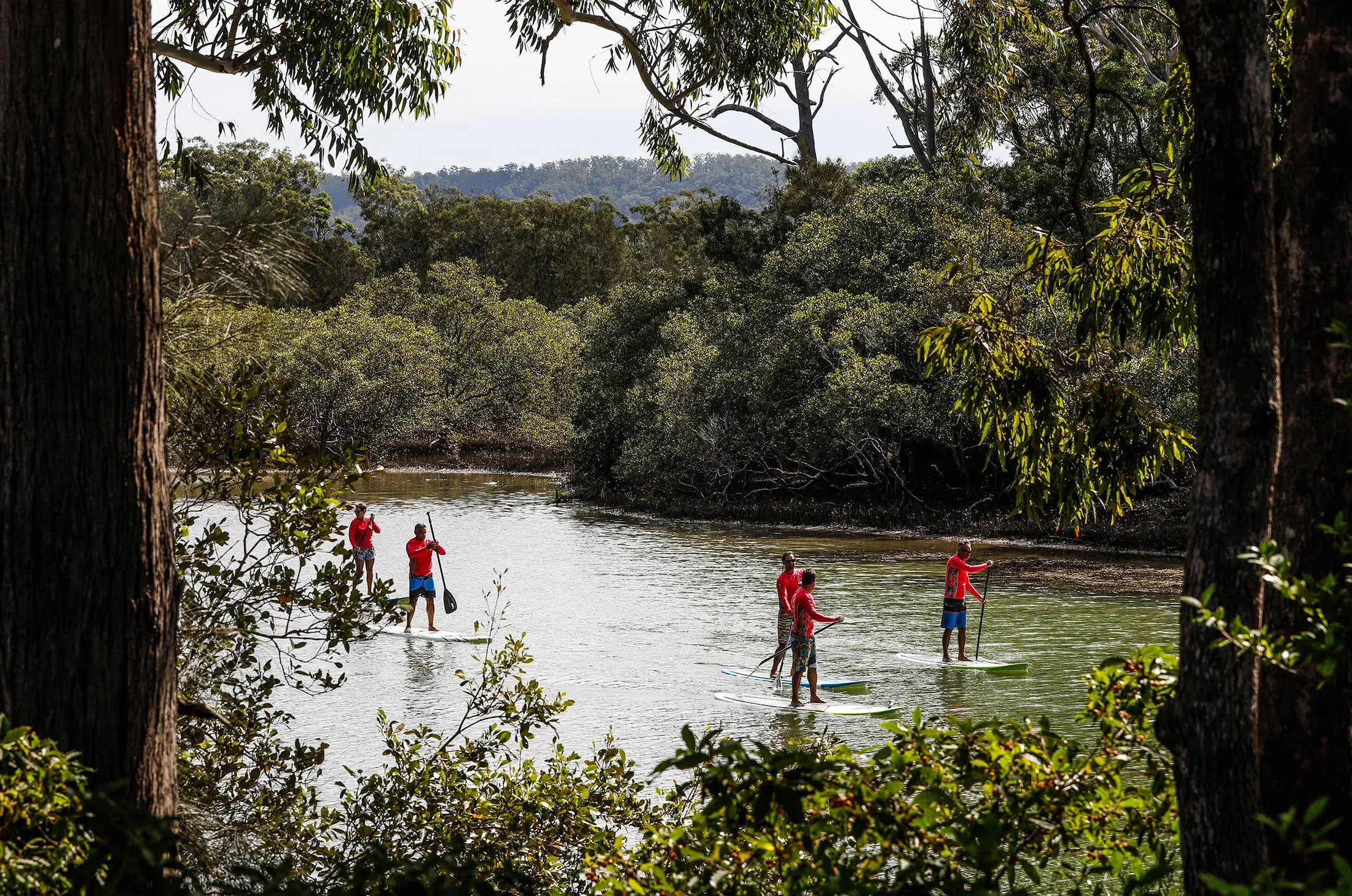 Aboriginal tour group - kayak