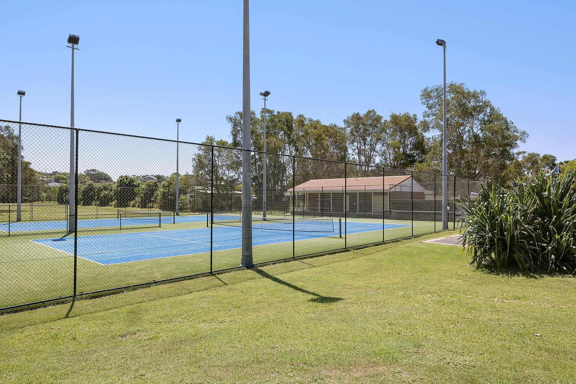 Scotts Head - Tennis Court