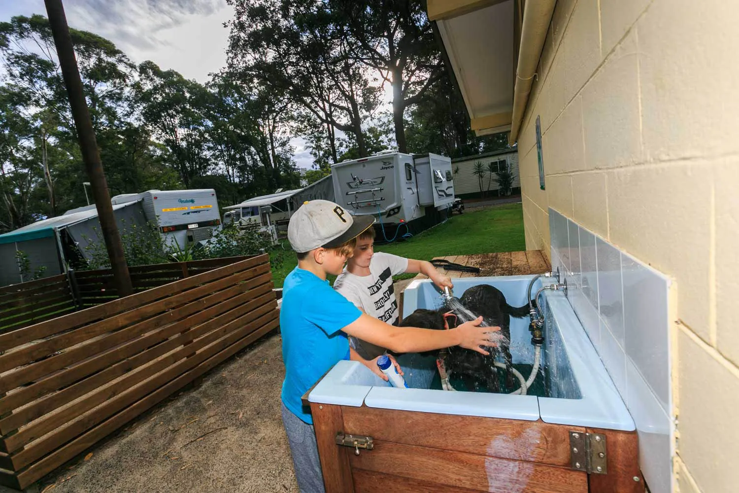 Coffs Harbour - Dog Wash