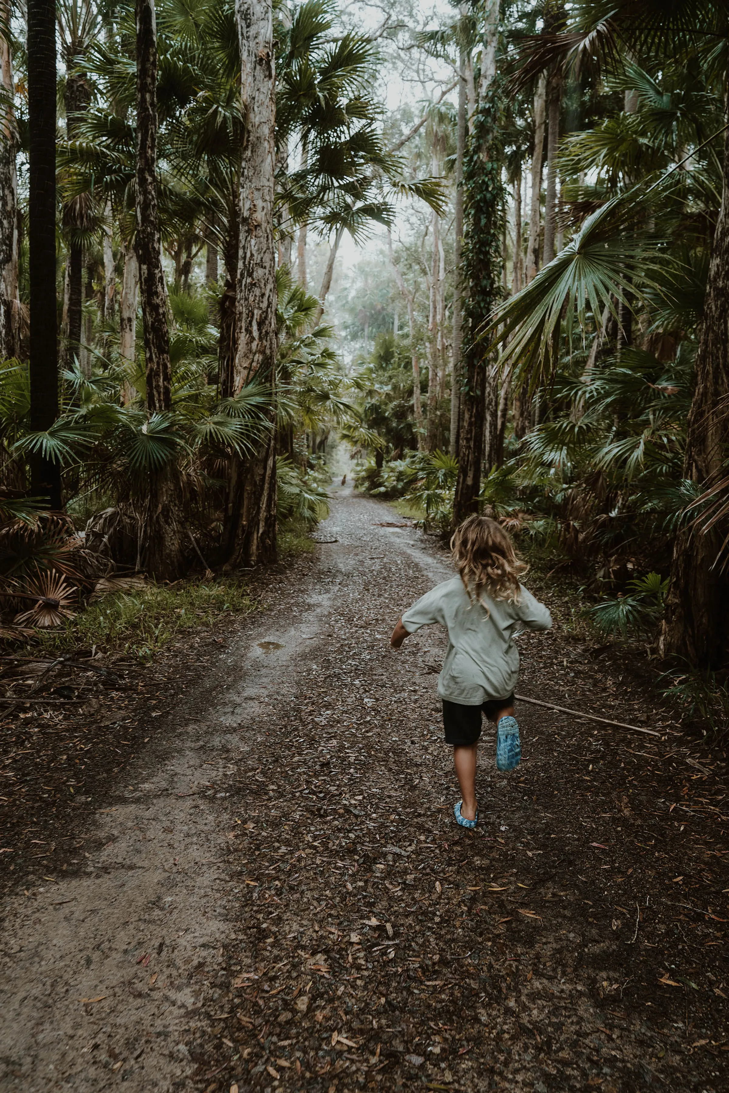 Tamboi Trails - Hawks Nest - Wandering Tribe of Five