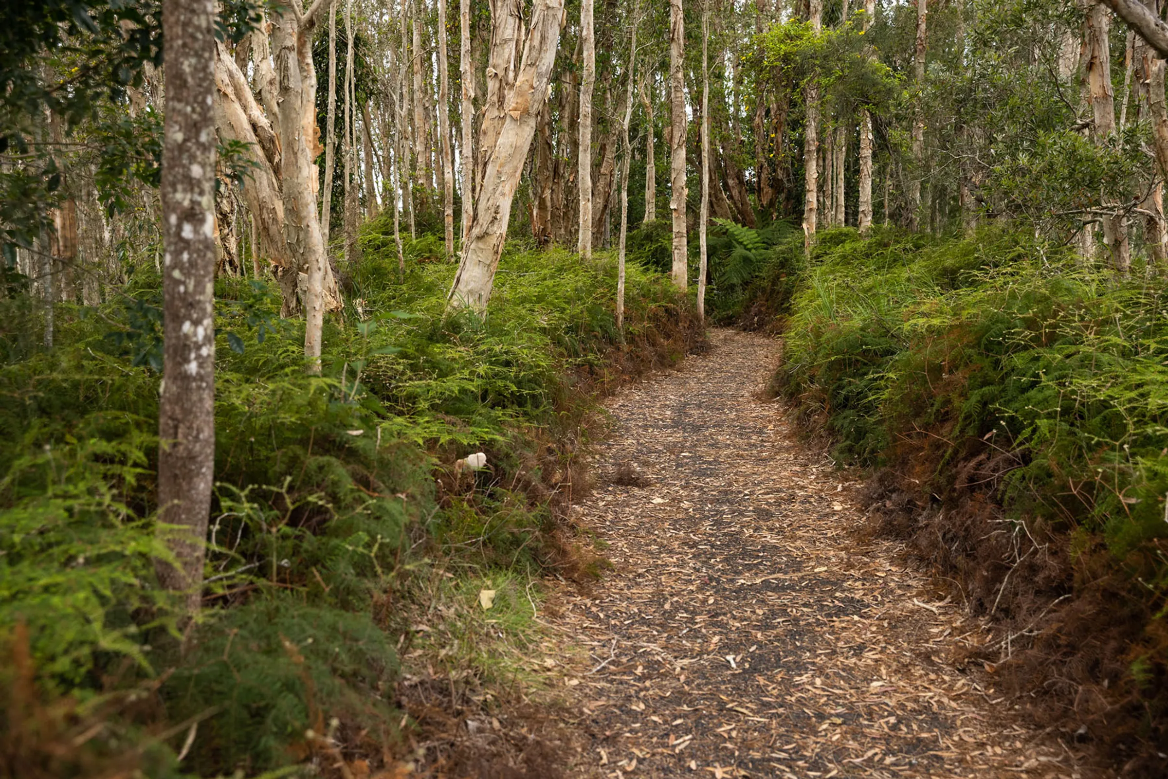 Urunga Walking Tracks