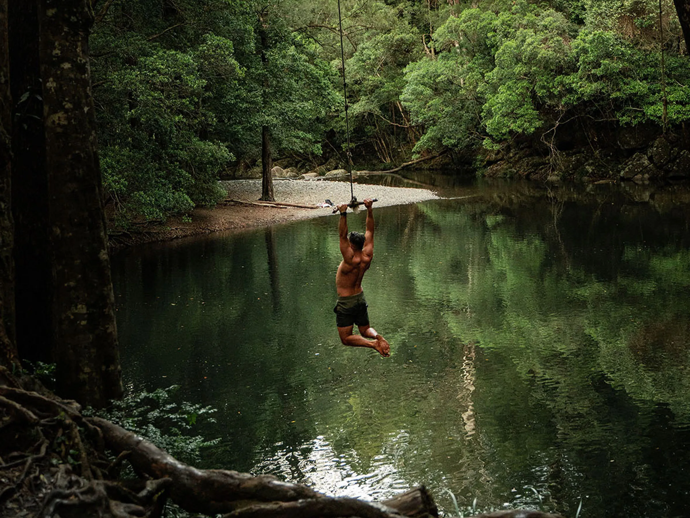 Reflections Urunga holiday and caravan park tree swing