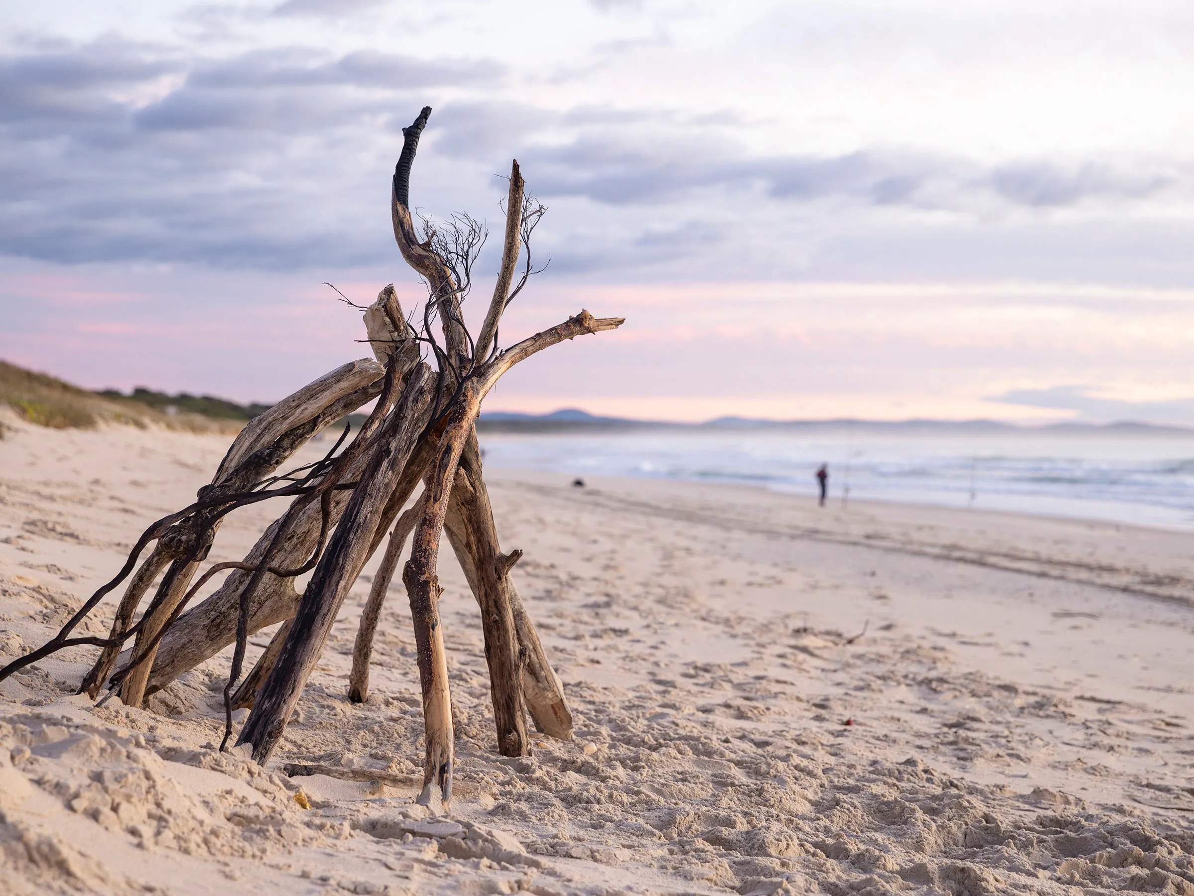 Reflections Holidays Hawks Nest holiday & caravan park Driftwood art on Bennetts Beach