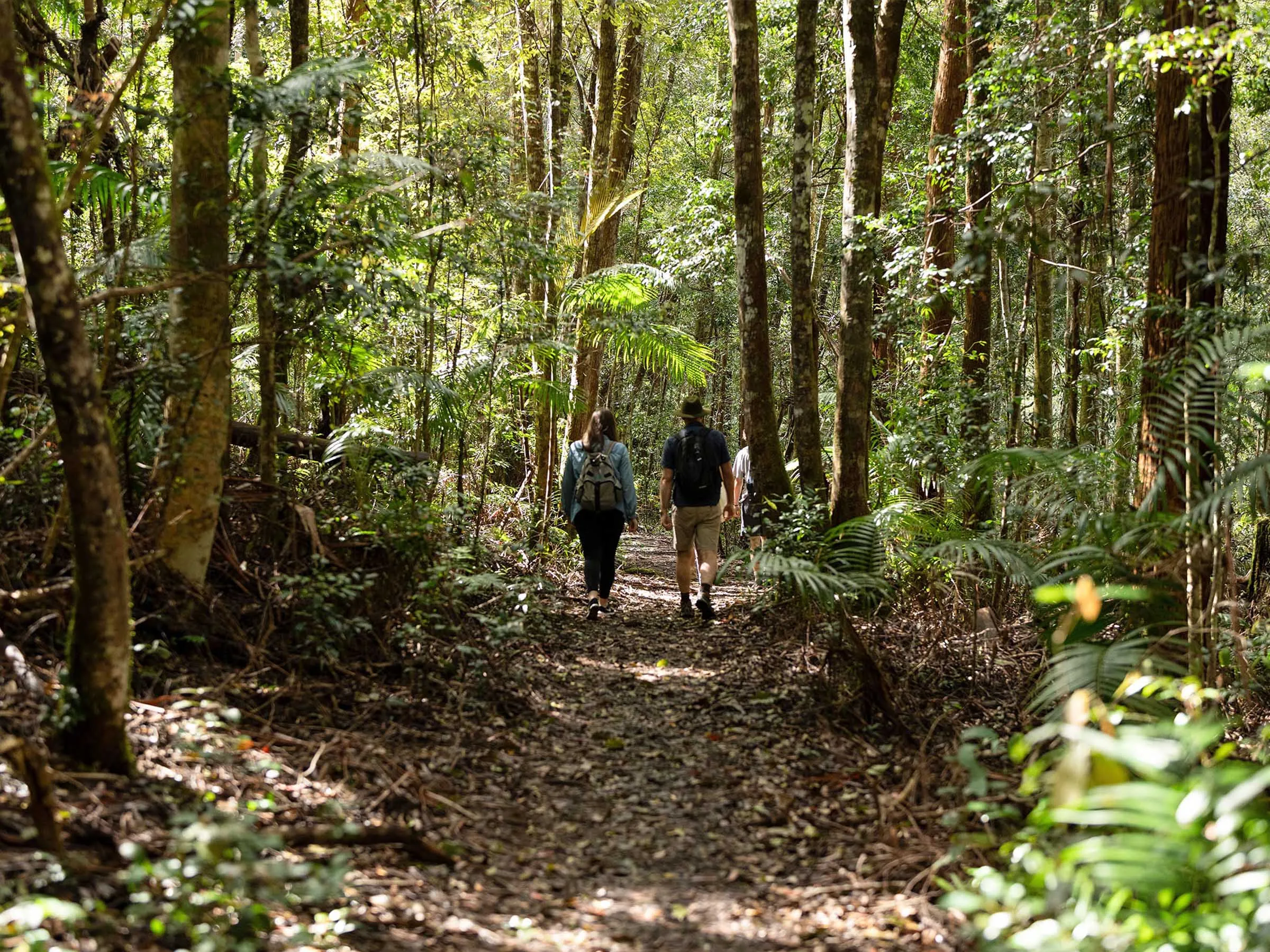 Lennox Head Glamping - Book a Safari Tent | Reflections Holidays