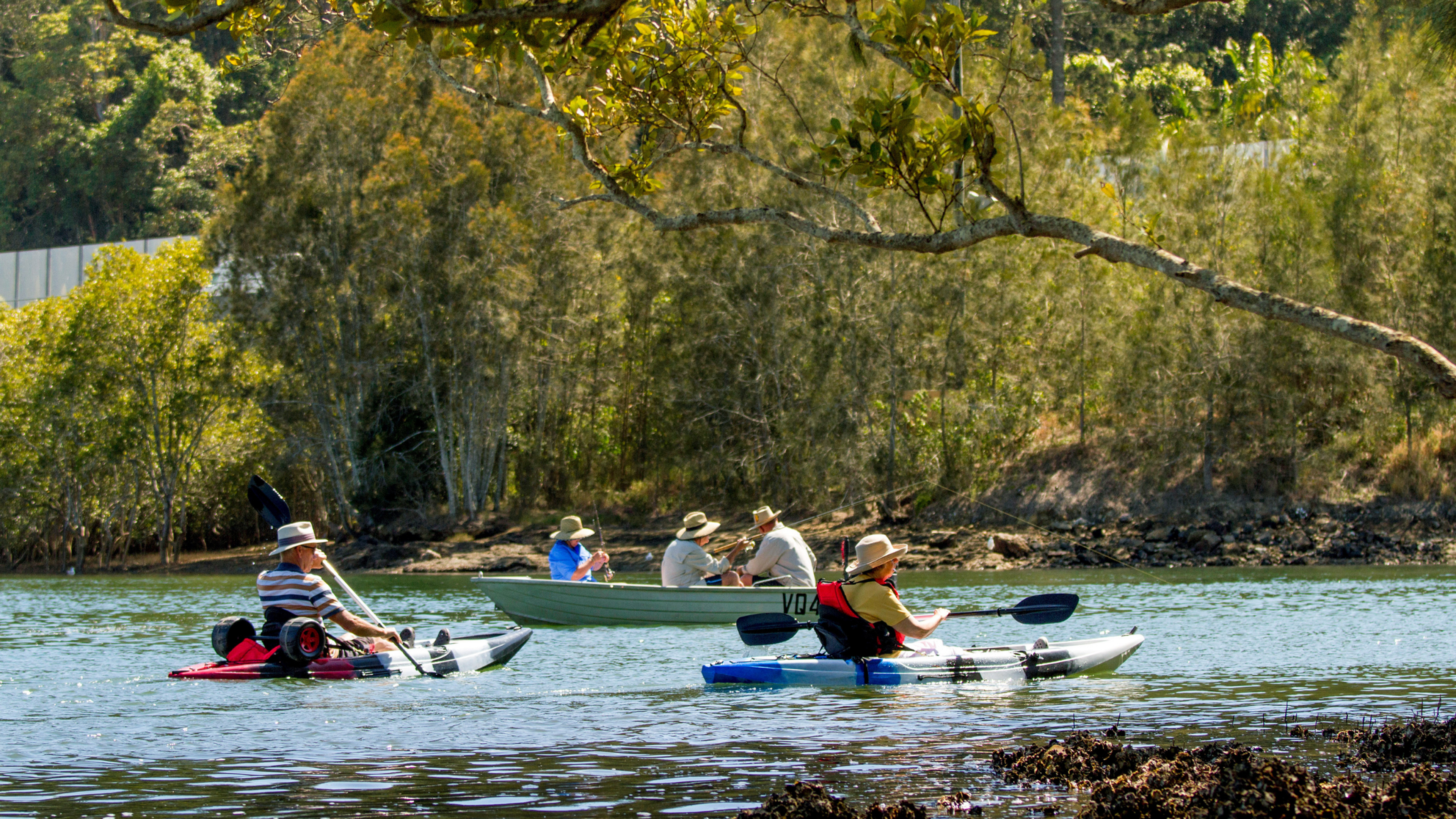 Brunswick Heads kayaking