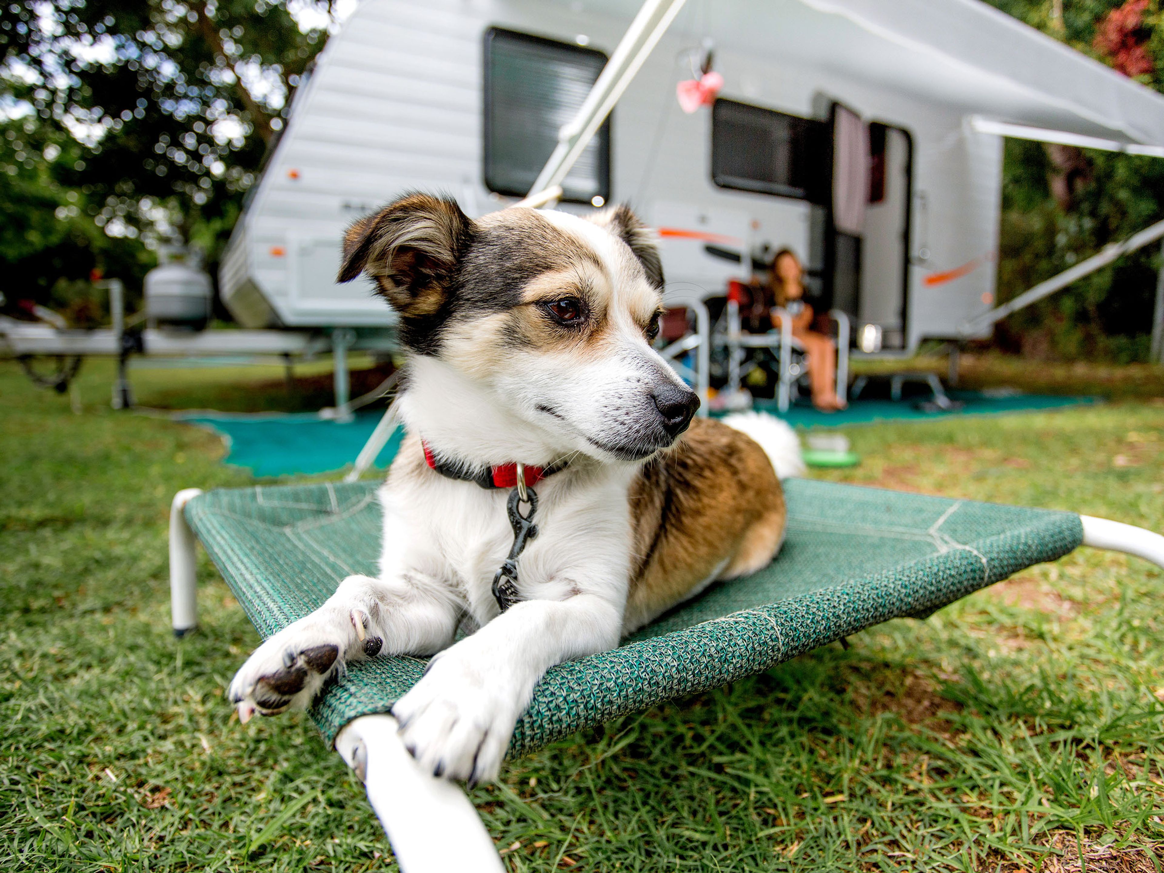 Park Map Ballina Holiday Caravan Park Reflections Holidays park-map-ballina-holiday-caravan-park-reflections-holidays