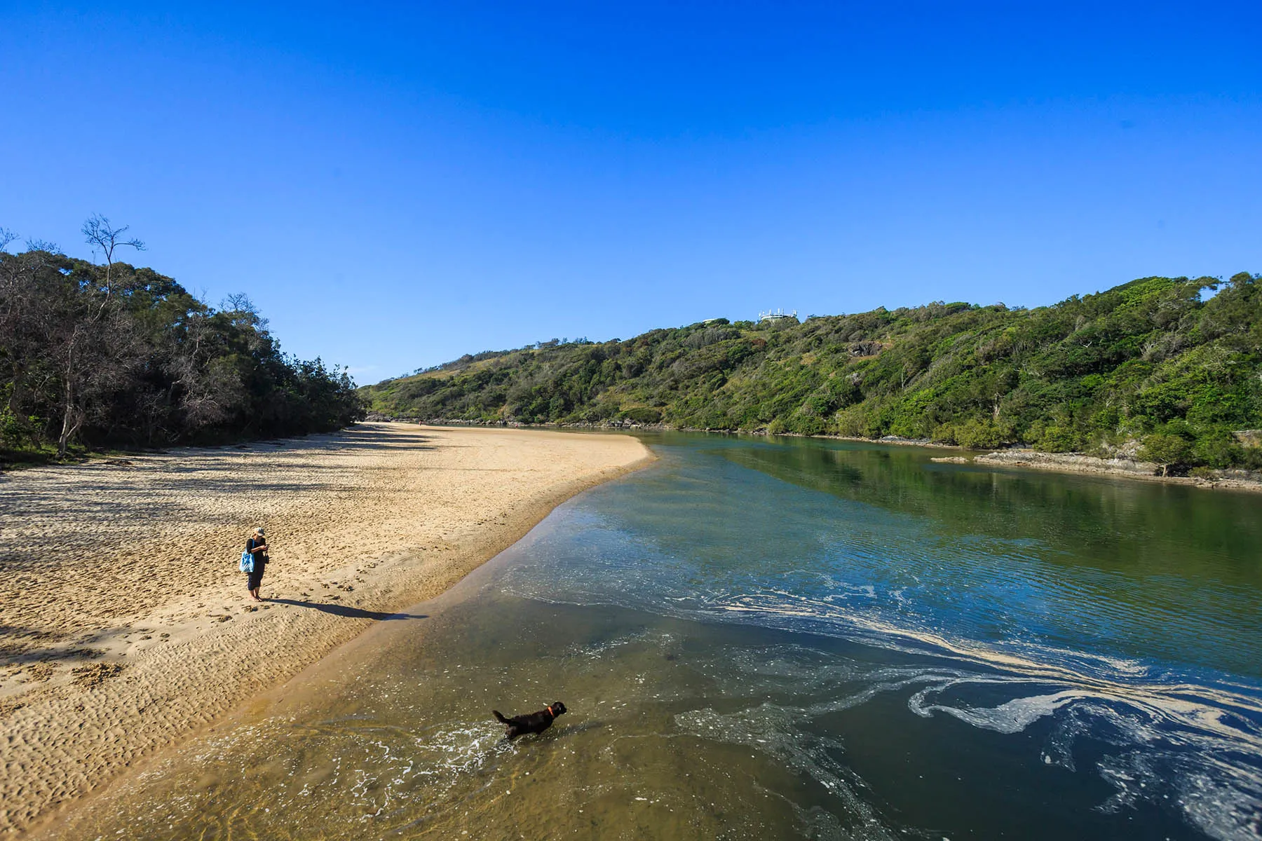 Boambee Creek Reserve