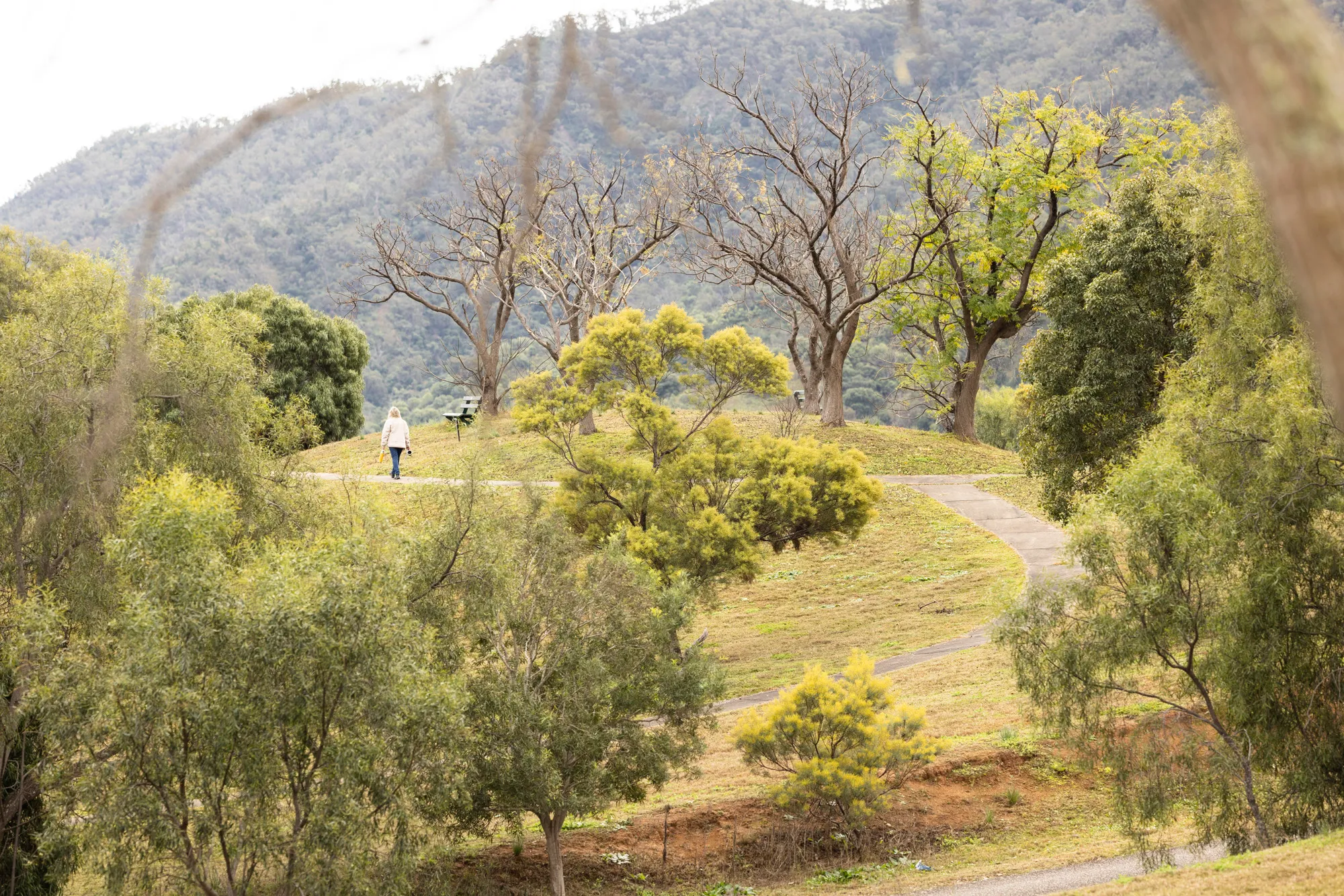 Hiking at Lake Glenbawn