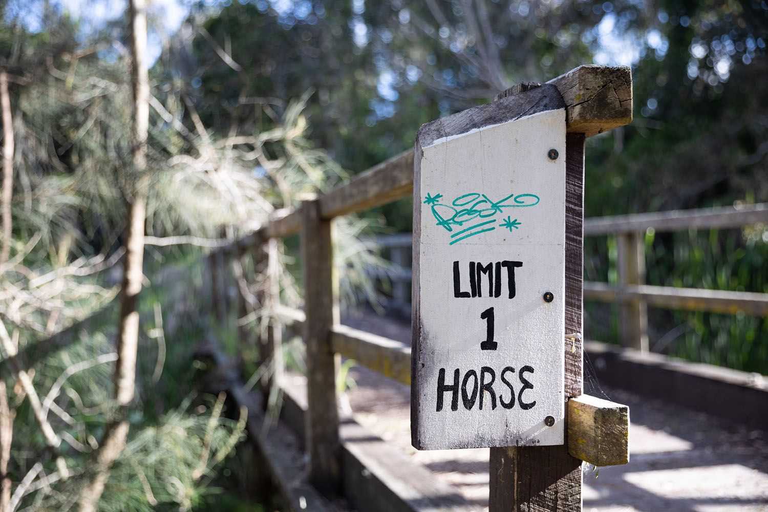 Limit 1 horse - Corindi Beach