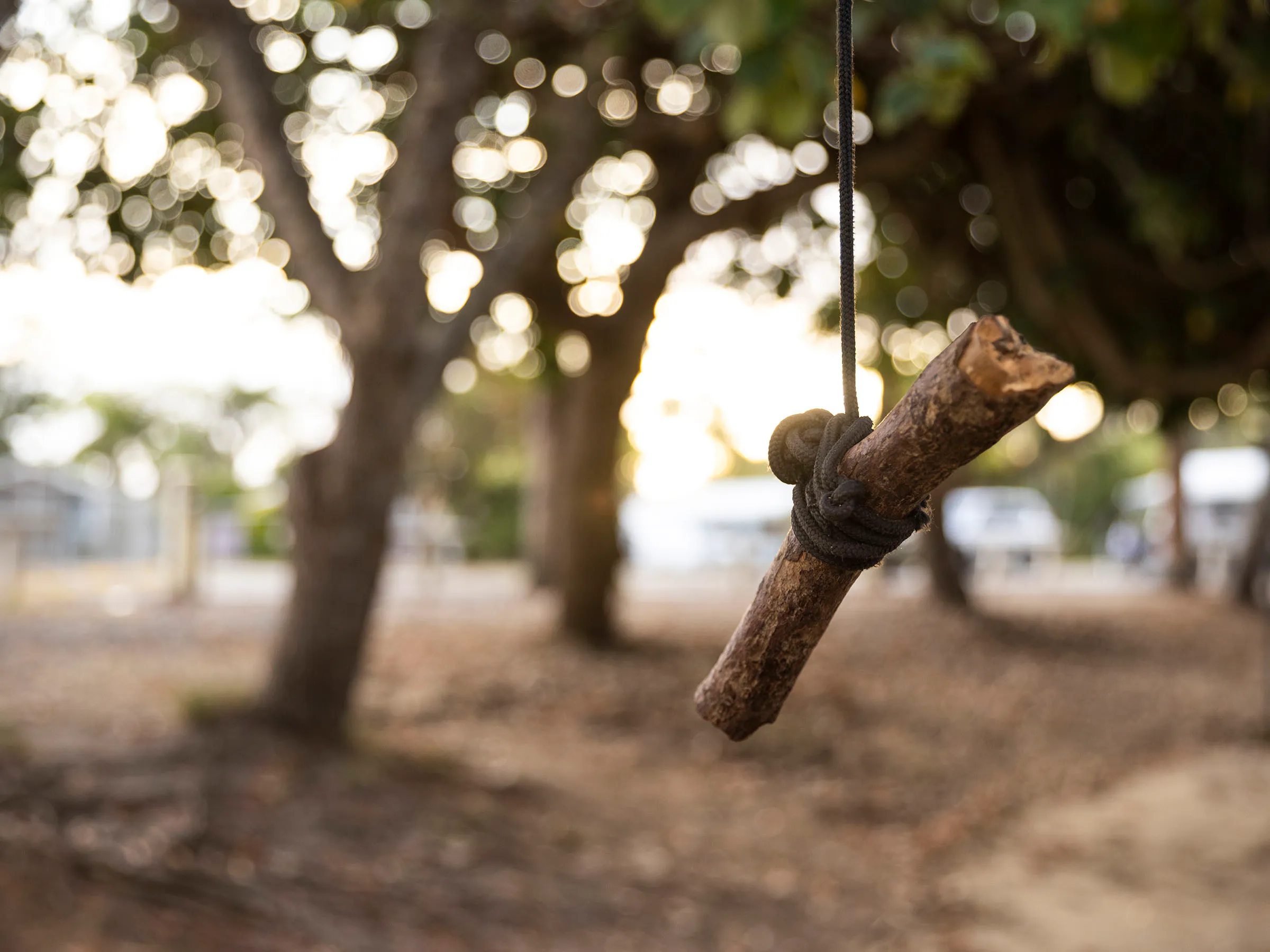 Reflections Holidays Massy Greene Holiday and Caravan Park log swing tied to a tree