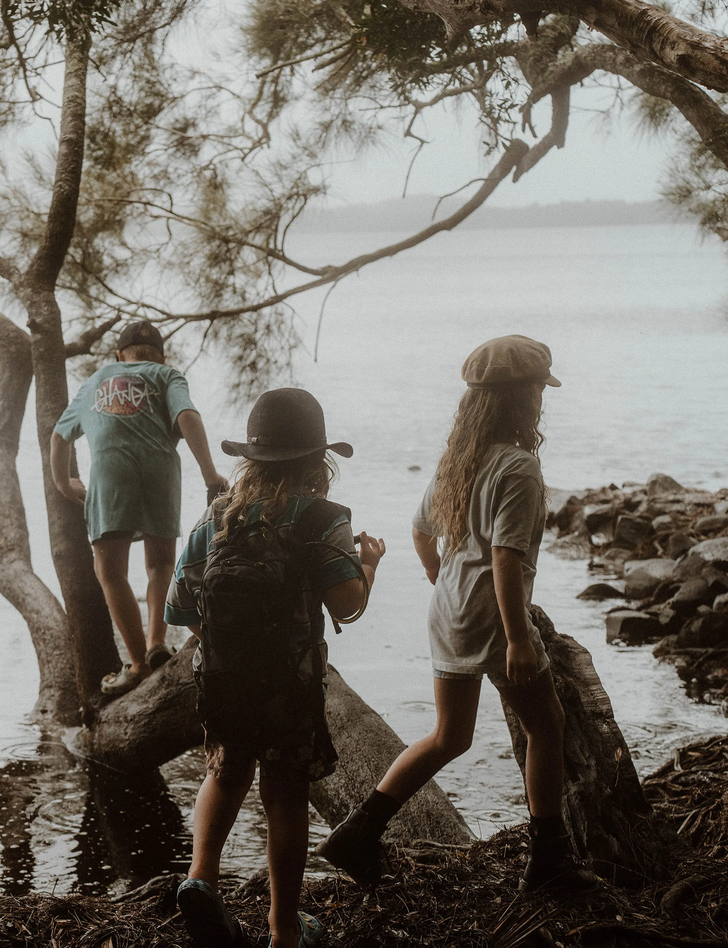 Hawks Nest - Mungo Bush Walk - Wandering Tribe of Five