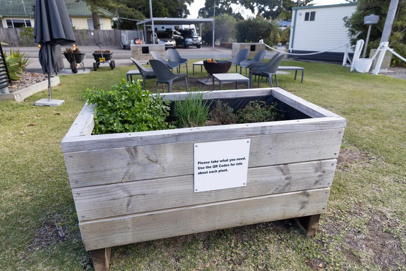 Foster Beach - Garden