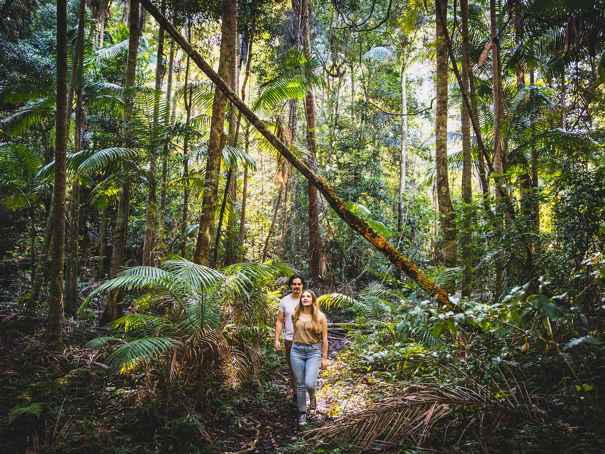 Hiking Bonny Hills