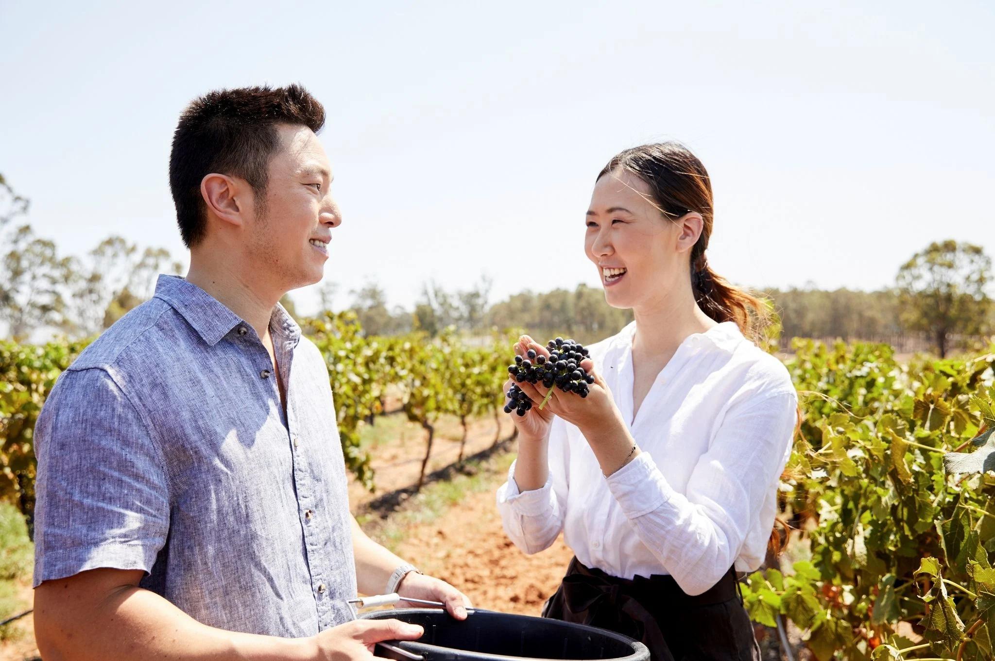 Wine Tasting - Destination NSW