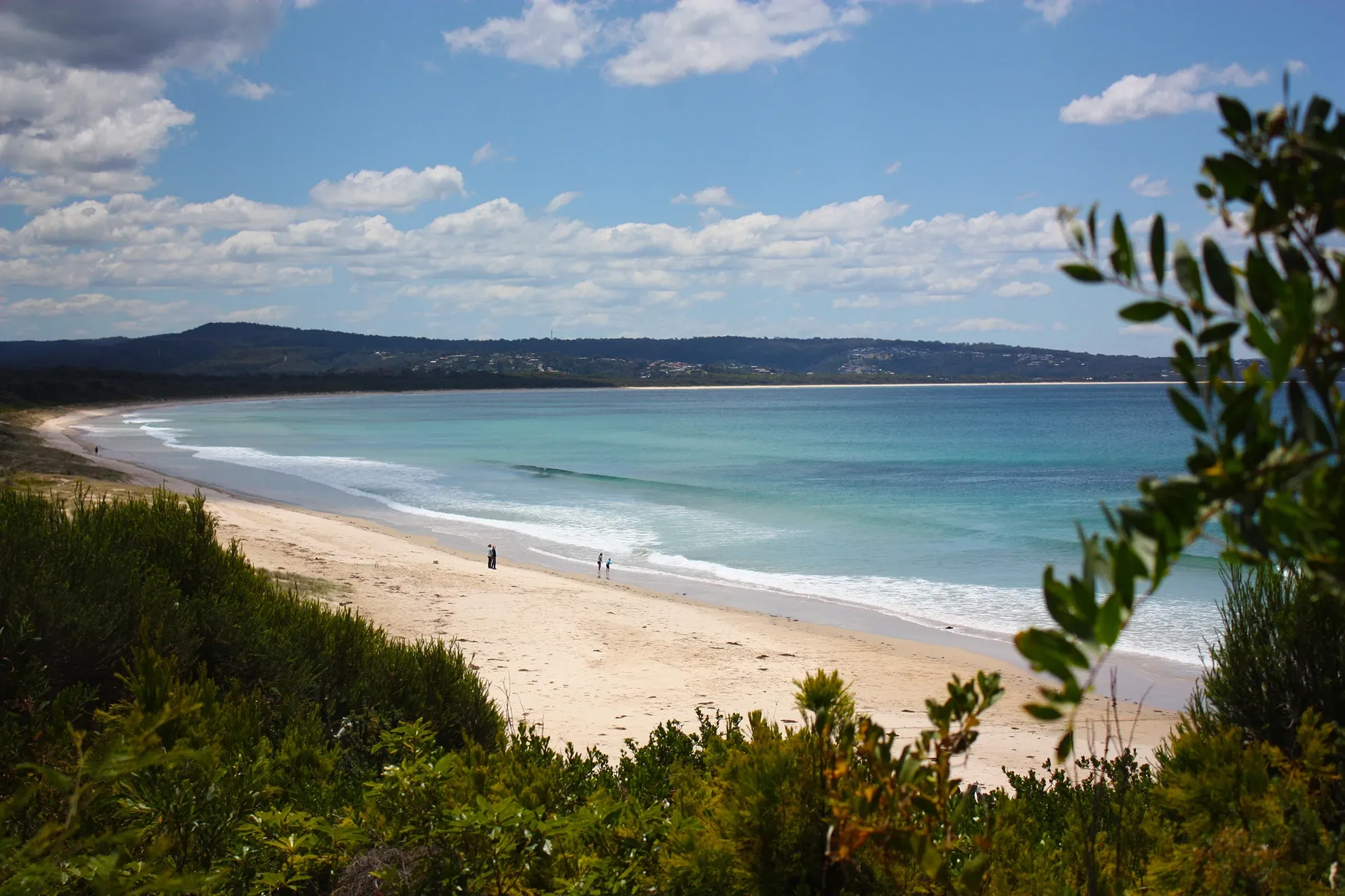 Pambula beach