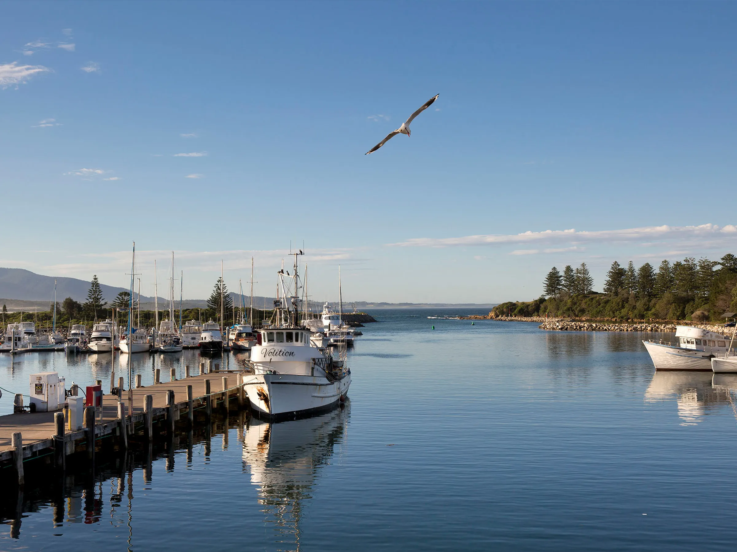 Reflections Holidays Bermagui holiday & caravan park Fishermen's Wharf overlooking harbour