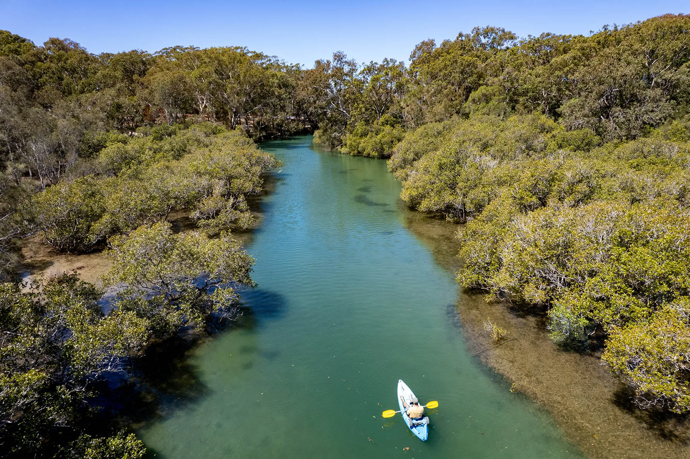 Ambassador Daniel Wagh - kayaking moonee beach
