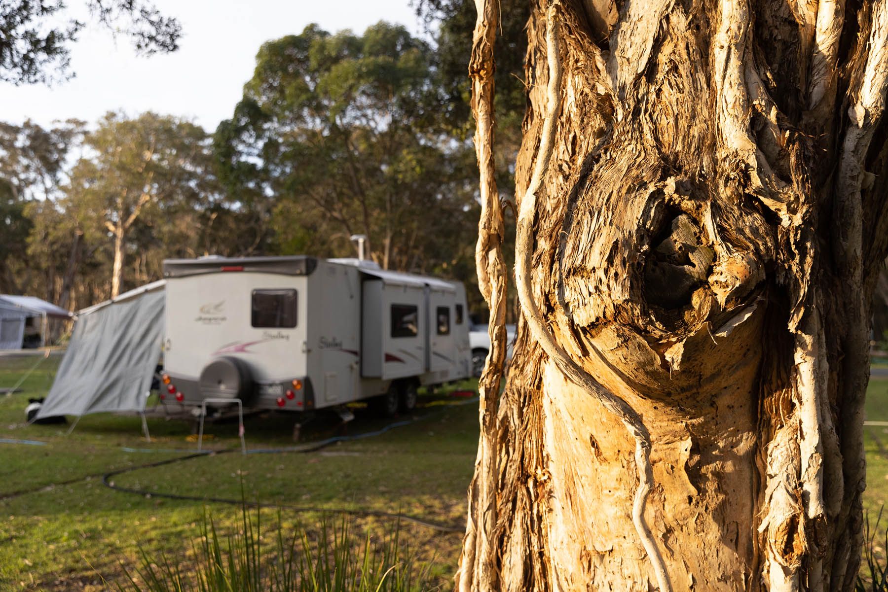 North Haven - Standard Powered Site - Grass