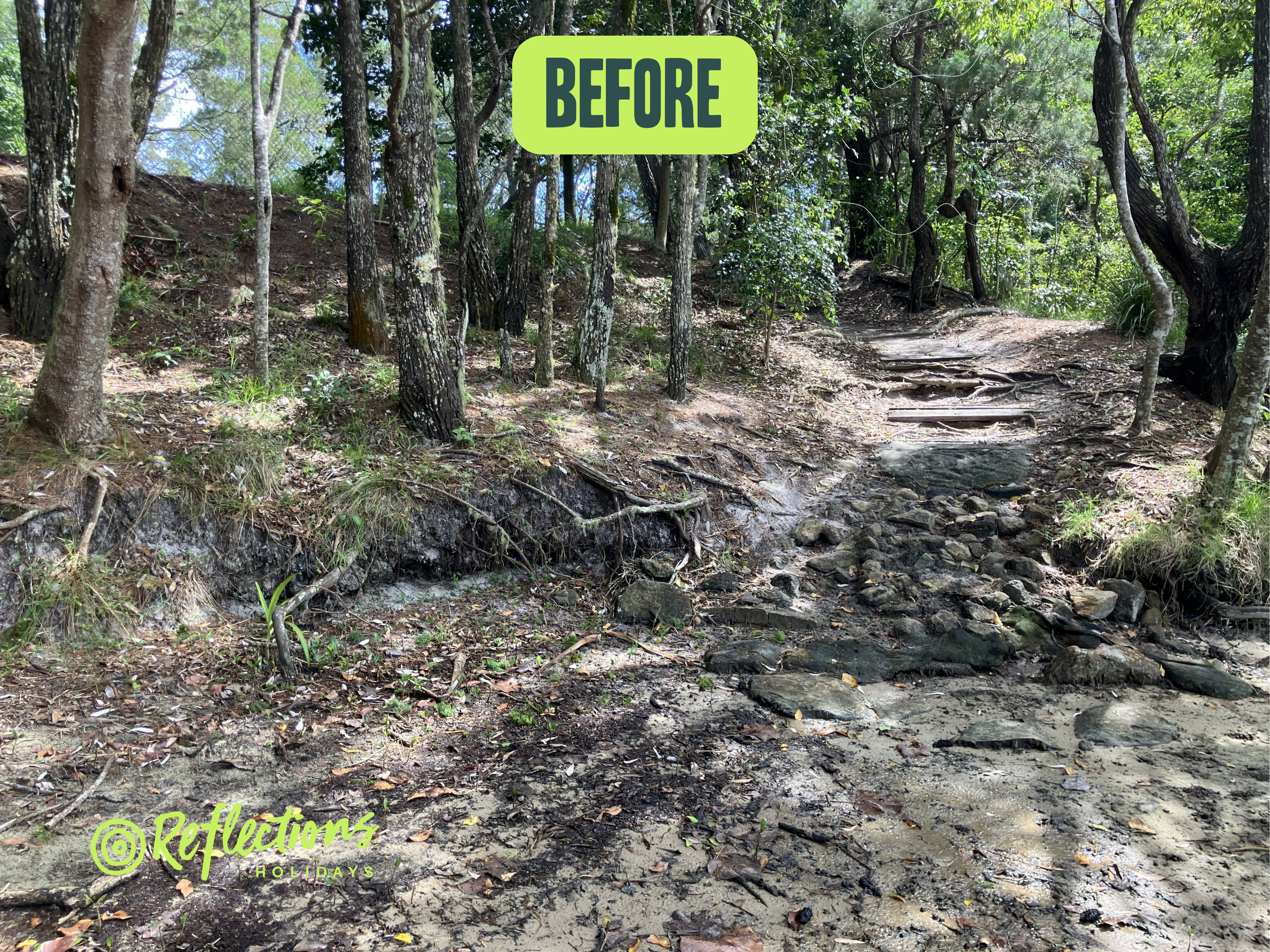 Image shows the path up to the pines before. 