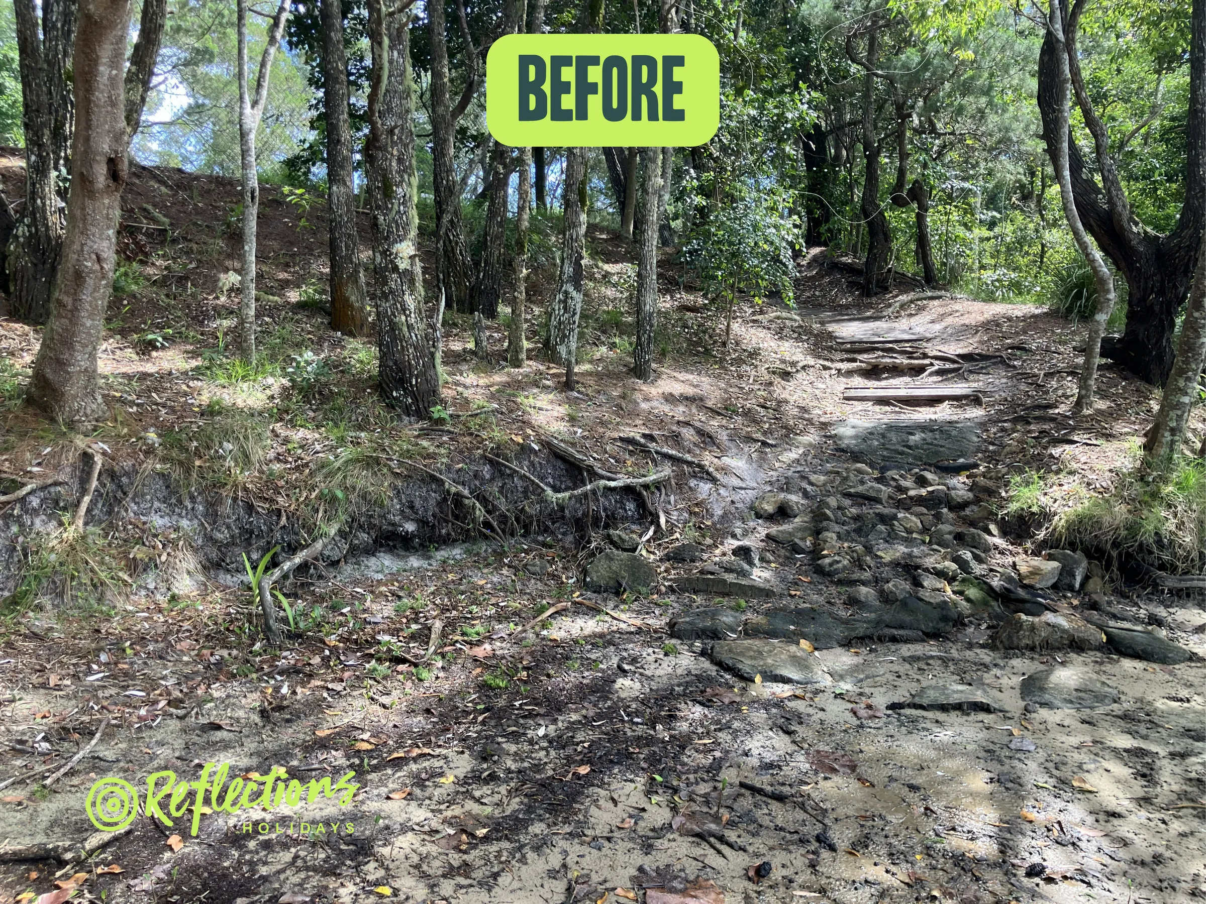 Image shows the path up to the pines before.