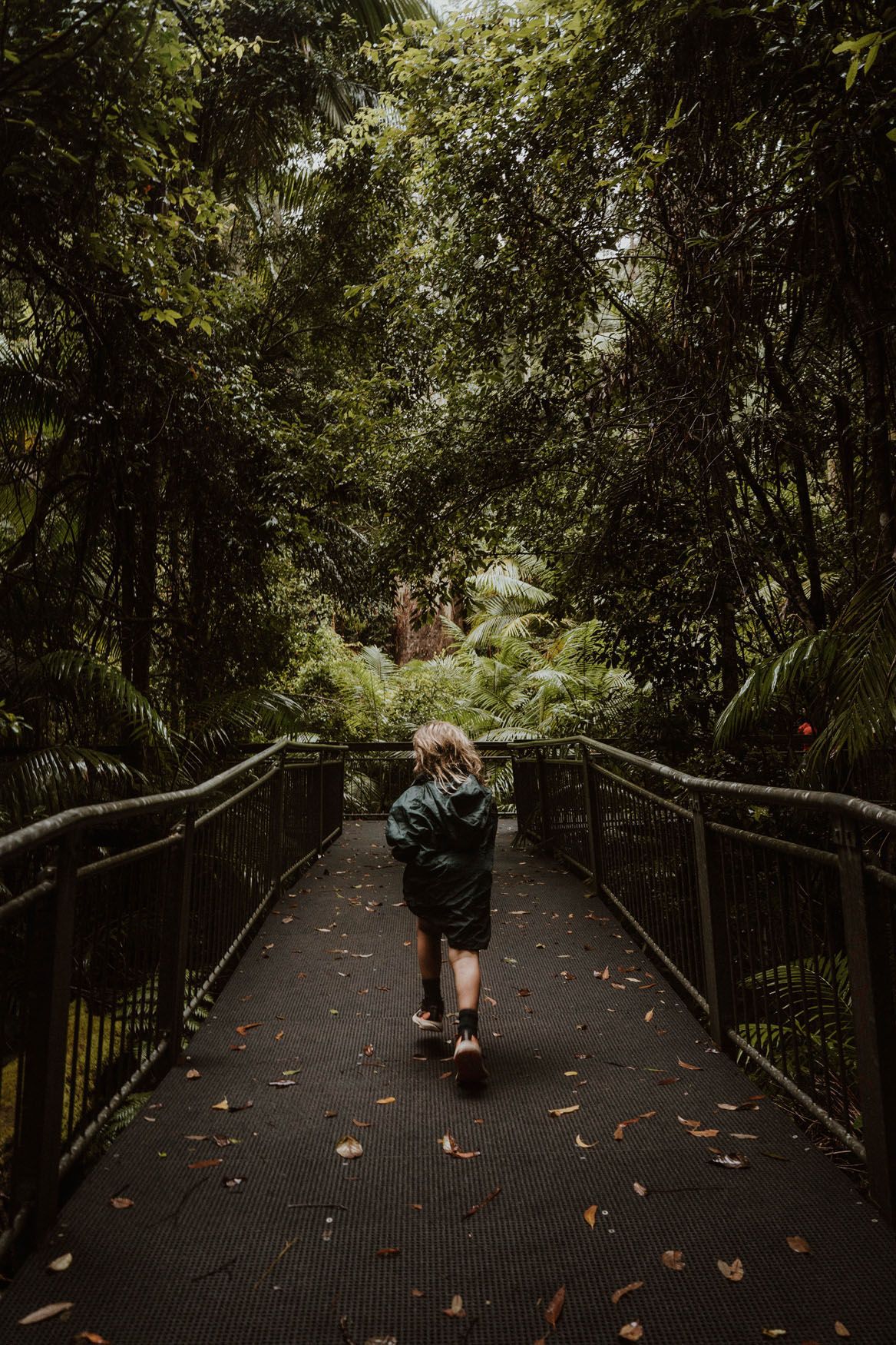 Grandis Picnic Area - Myall Lakes - Hawks Nest - Wandering Tribe of Five