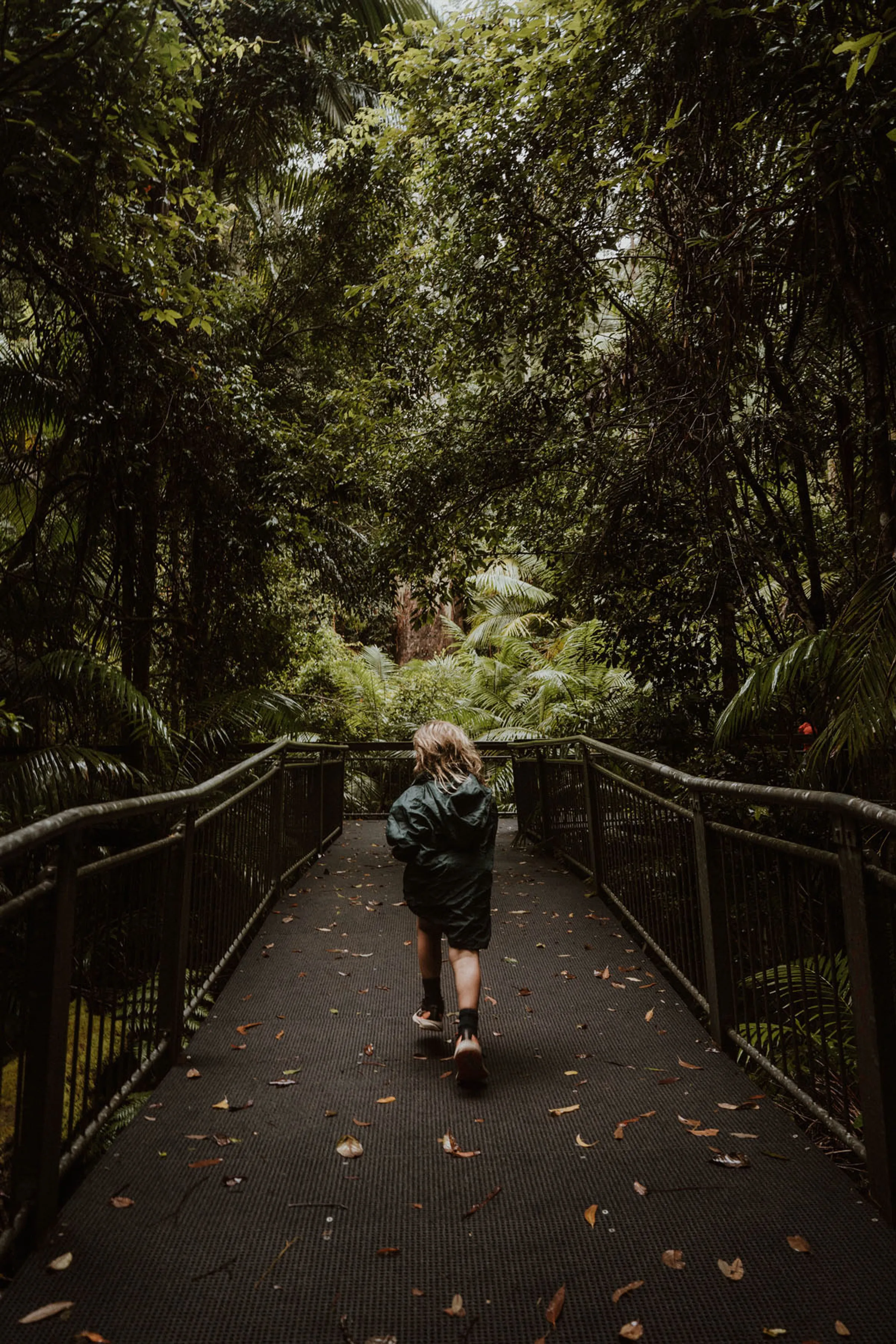 Grandis Picnic Area - Myall Lakes - Hawks Nest - Wandering Tribe of Five