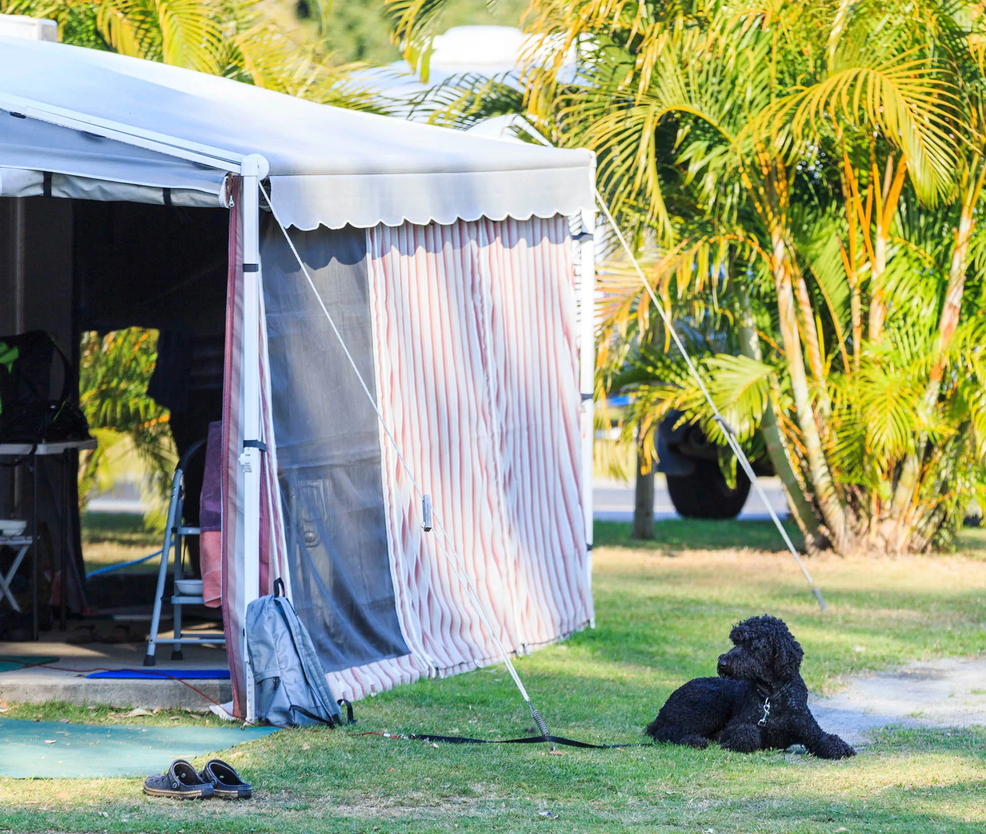 Ferry Reserve - Standard Powered Tent Site - With 