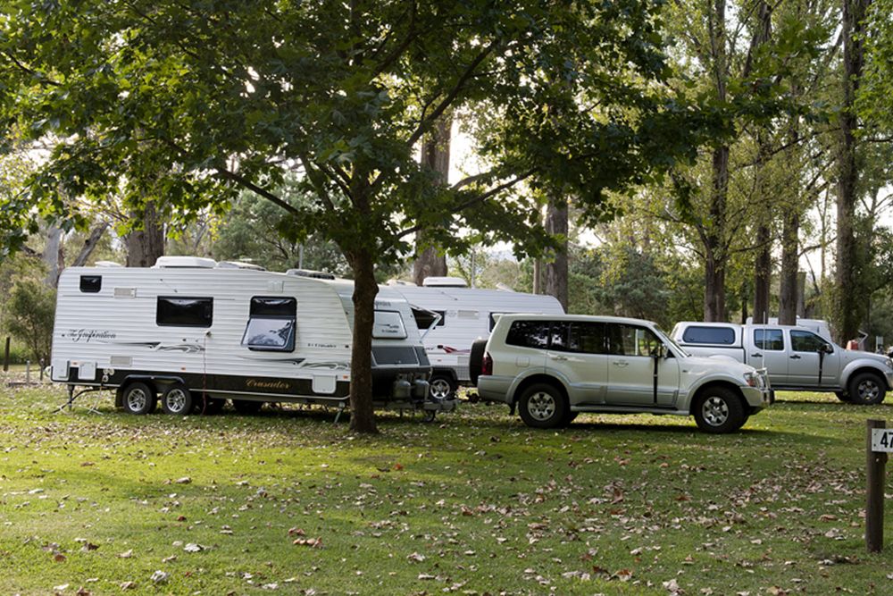 Tumut River camping