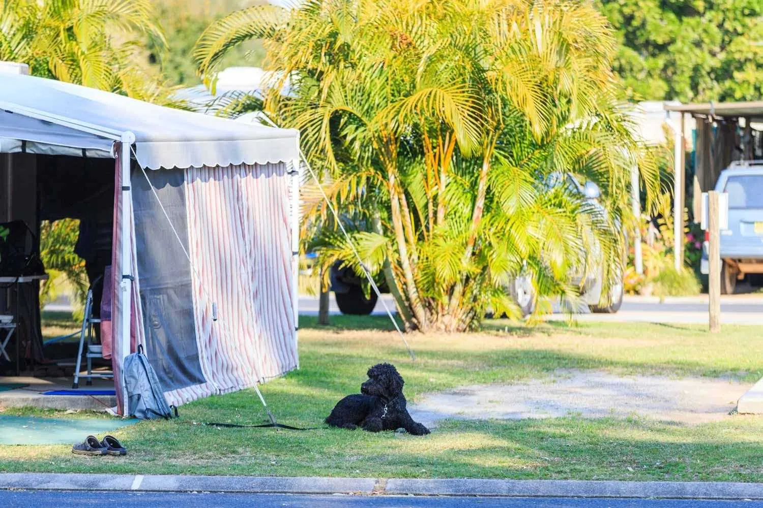 Ferry Reserve - Standard Powered Site - With Tent