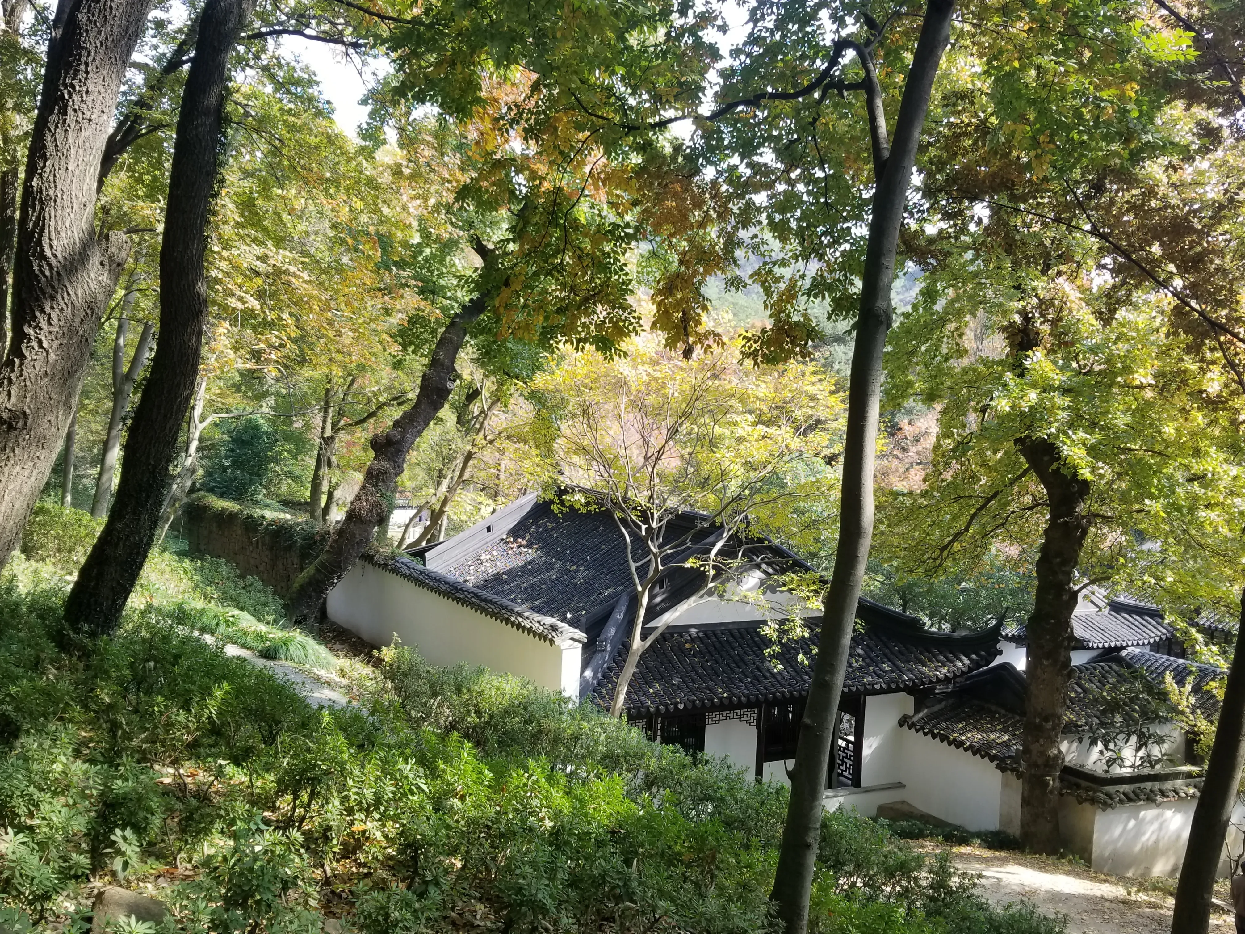 石径穿过层叠树影，粉墙黛瓦藏在深秋枝叶之后。