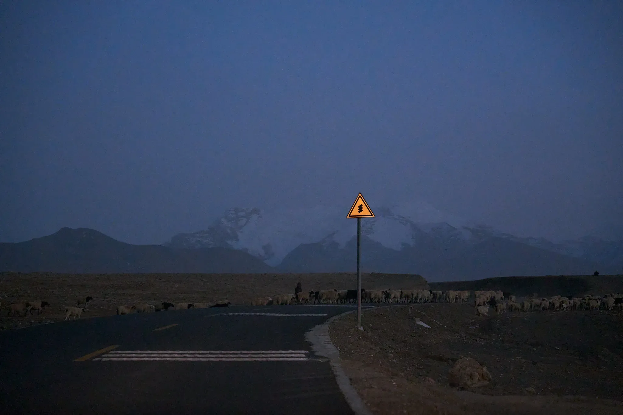 薄暮高原的羊群穿过公路，折弯警示牌在雪峰前亮起一小块暖色。