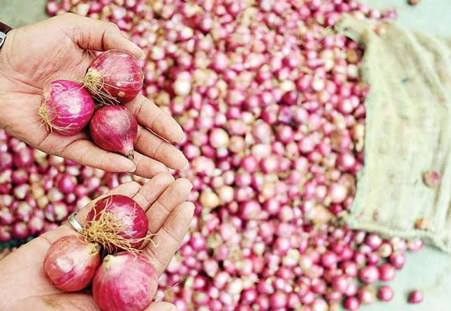 Onion Prices Near ₹70 in India: Why Government’s ₹35 Sale Hasn’t Fixed It