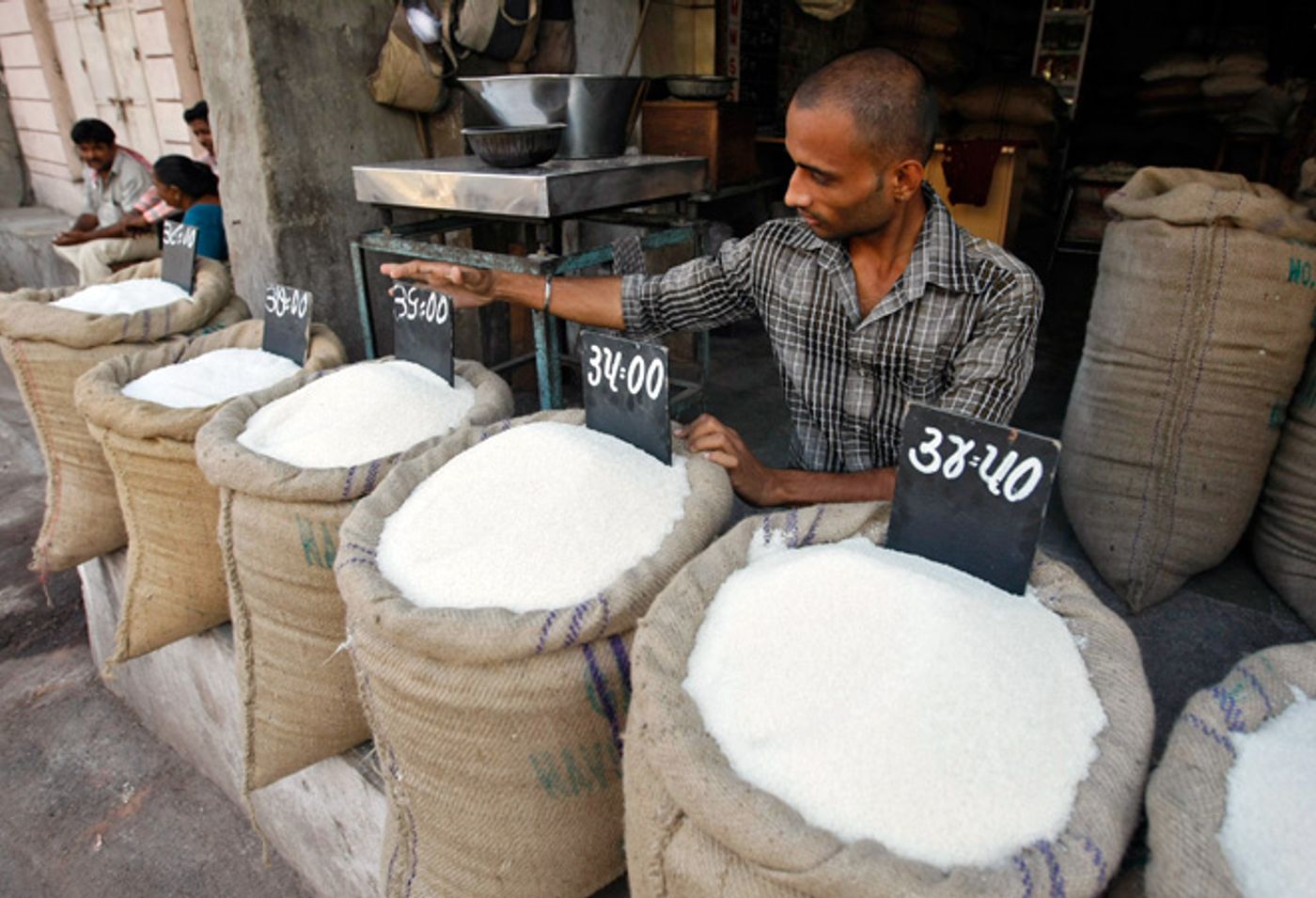 Sugarcane crop in India.