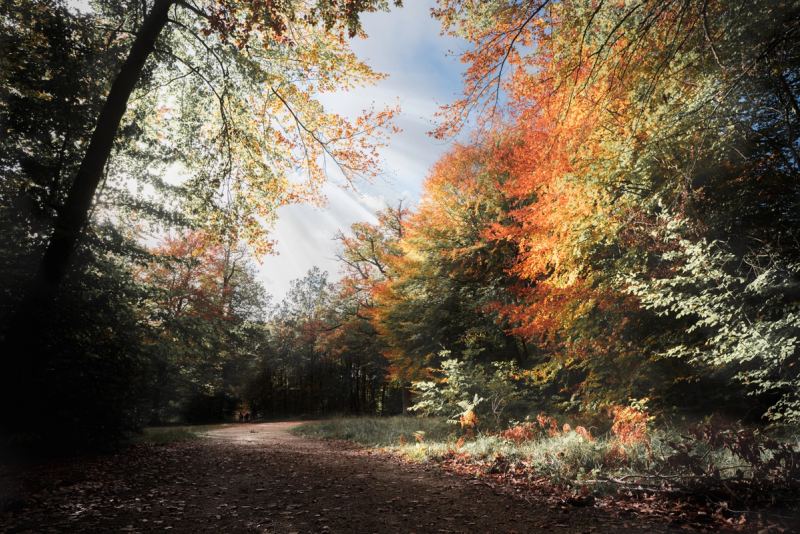 Photo de voyage par Paul Piccolini - A7R04904 (1) Modifier