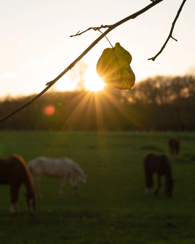 Photo de voyage par Paul Piccolini - A7R06562
