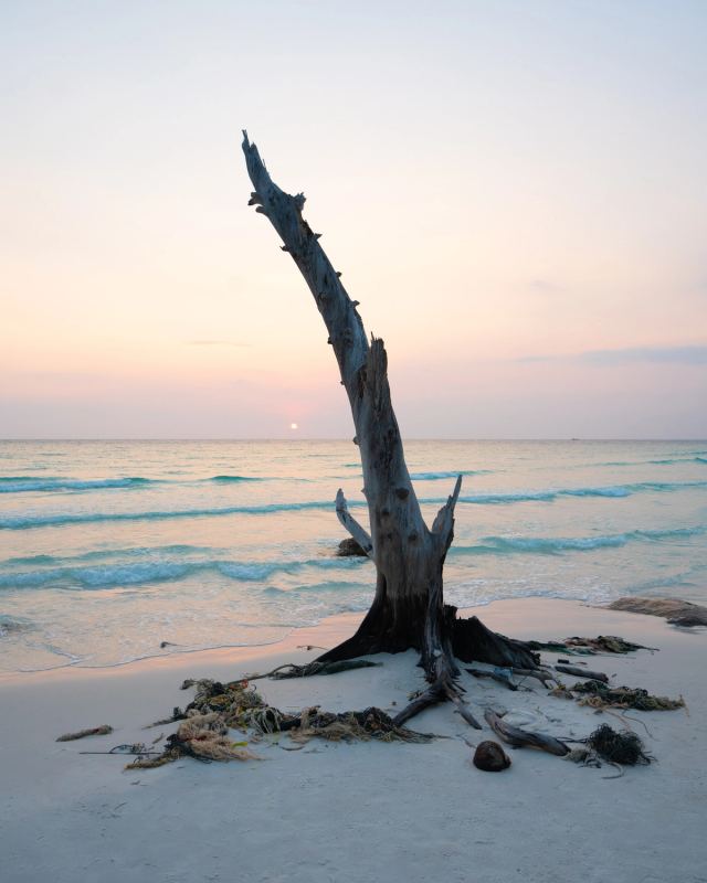 Photo de voyage par Paul Piccolini - Cambodge 2024 02 27 057