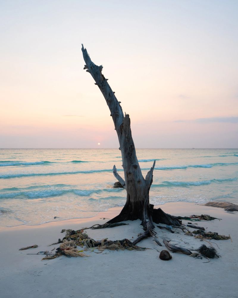 Photo de voyage par Paul Piccolini - Cambodge 2024 02 27 057