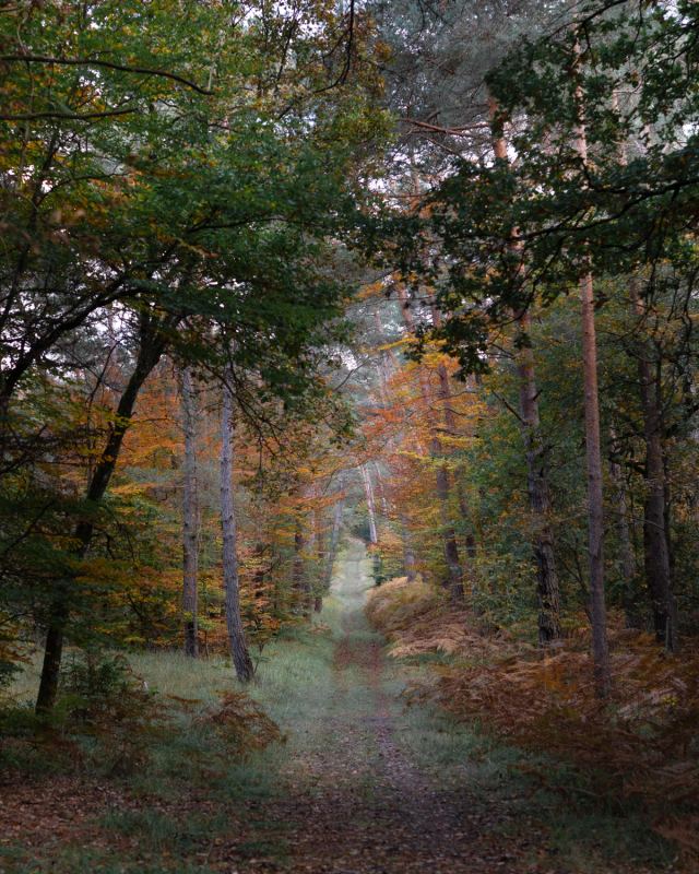 Photo de voyage par Paul Piccolini - A7R05007 (1) Modifier