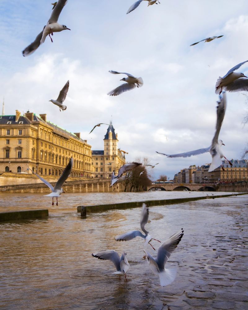 Photo de Paris à Paris par Paul Piccolini - A7R01256