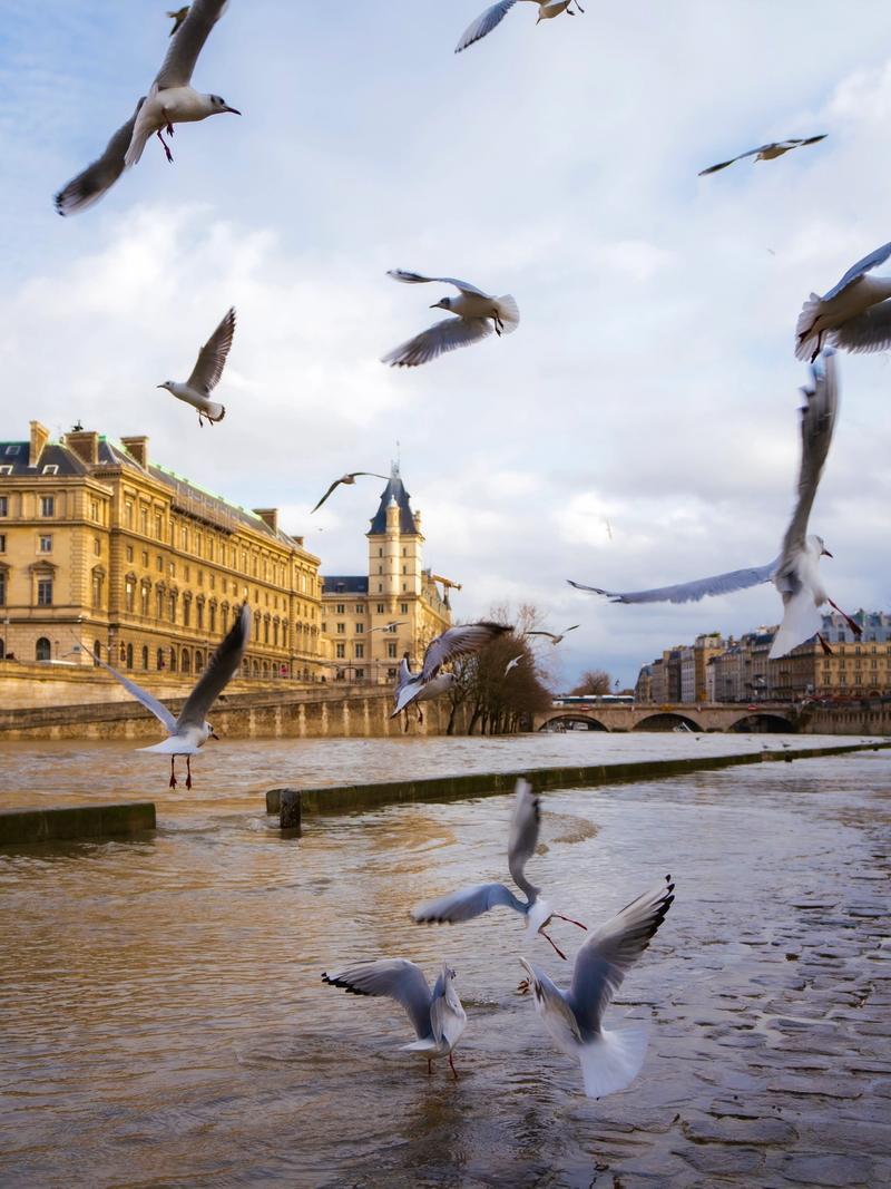 Photo de Paris à Paris par Paul Piccolini - A7R01256