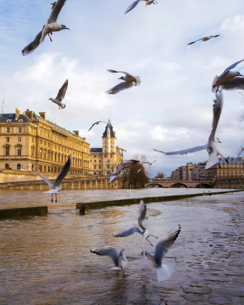 Photo de Paris à Paris par Paul Piccolini - A7R01256