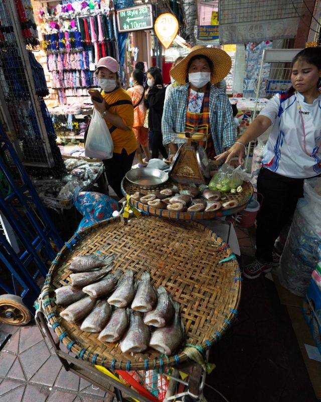 Photo de voyage par Paul Piccolini - Thailande 2023 01 06 052
