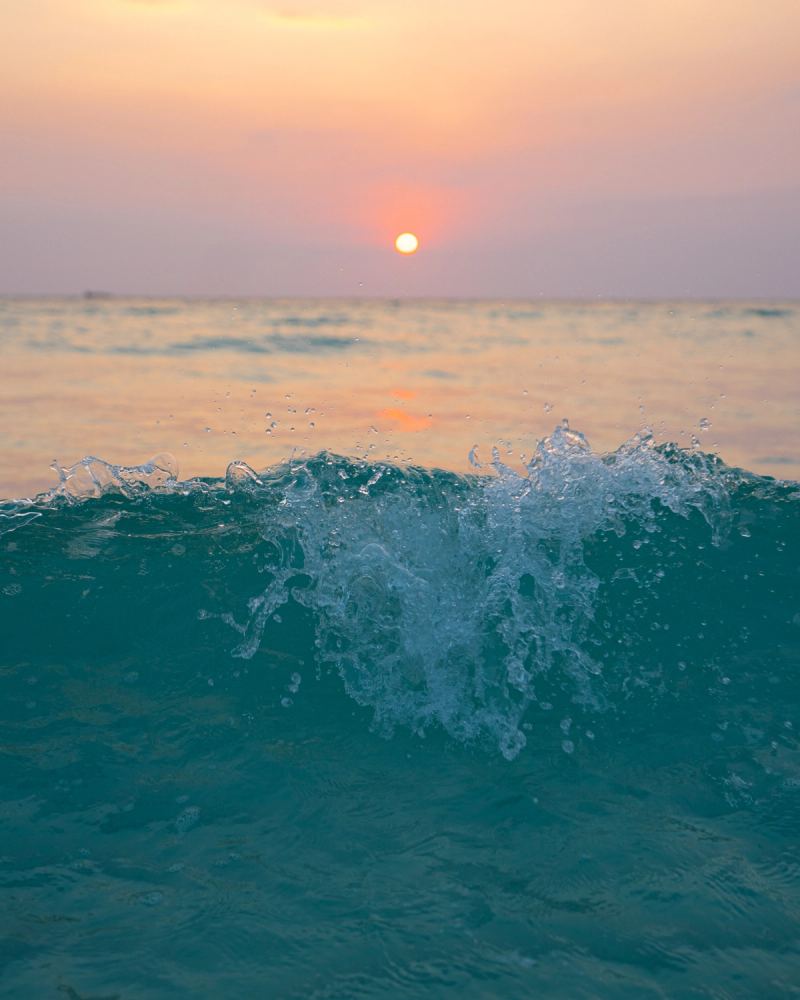 Photo de voyage par Paul Piccolini - Cambodge 2024 02 27 056