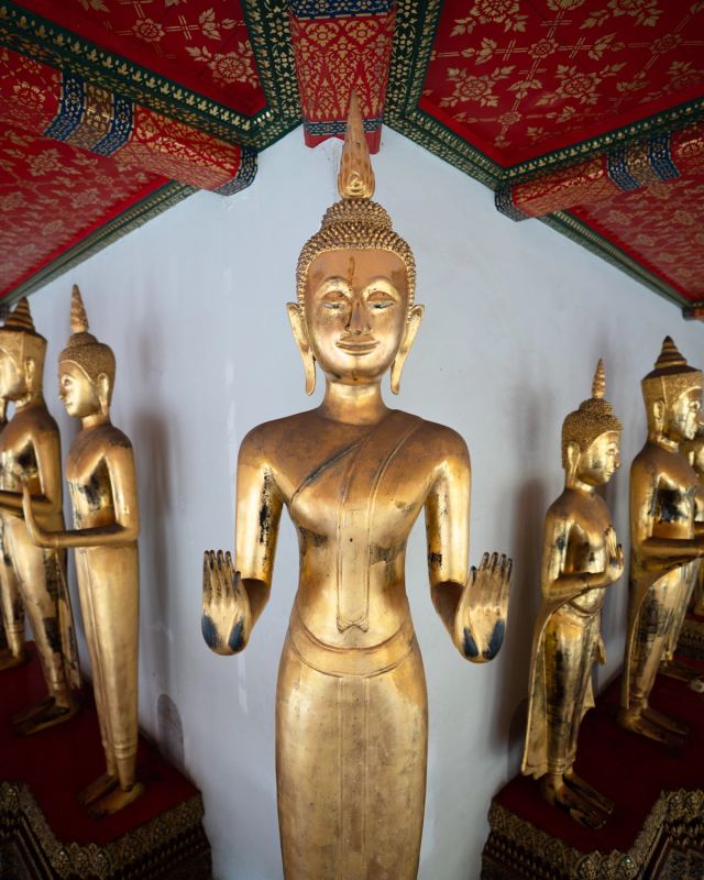 Photo de voyage par Paul Piccolini - Thailande 2023 01 06 037