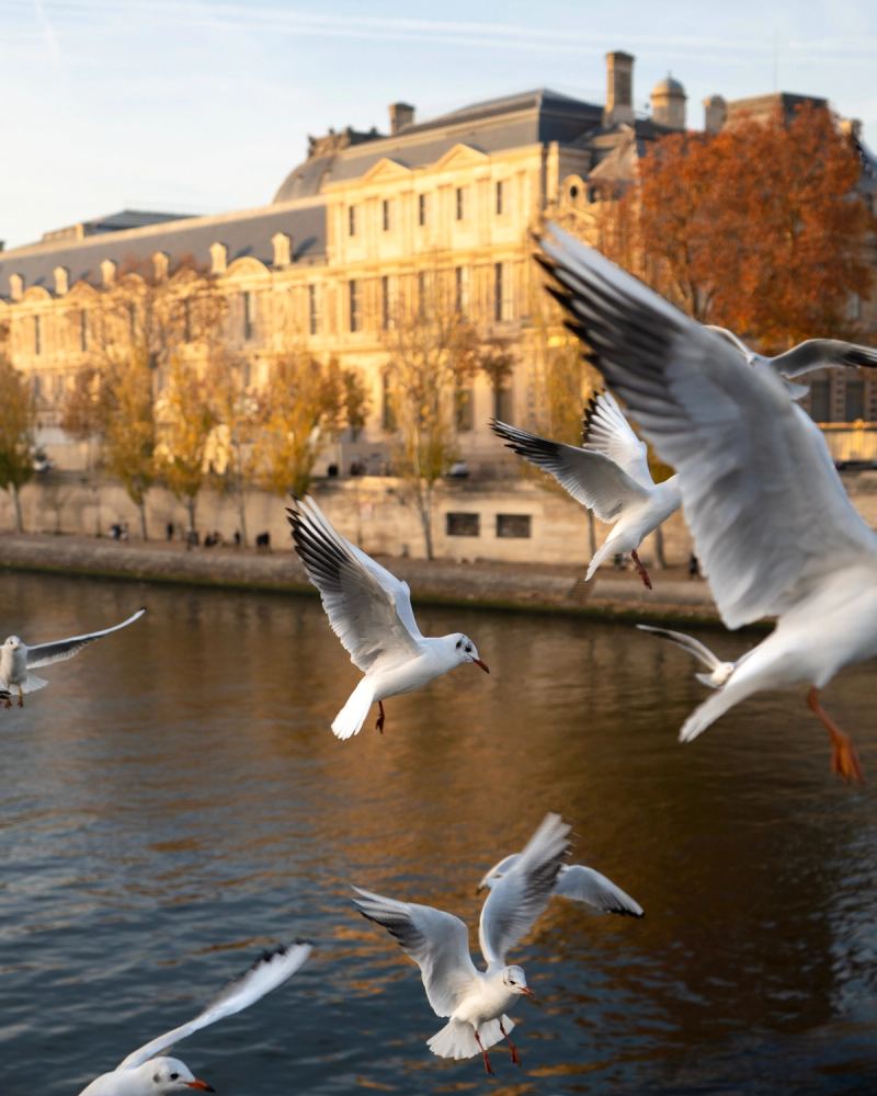 Photo de Paris à Paris par Paul Piccolini - CFB727CD 3651 4E2C 9774 684F864BFB58